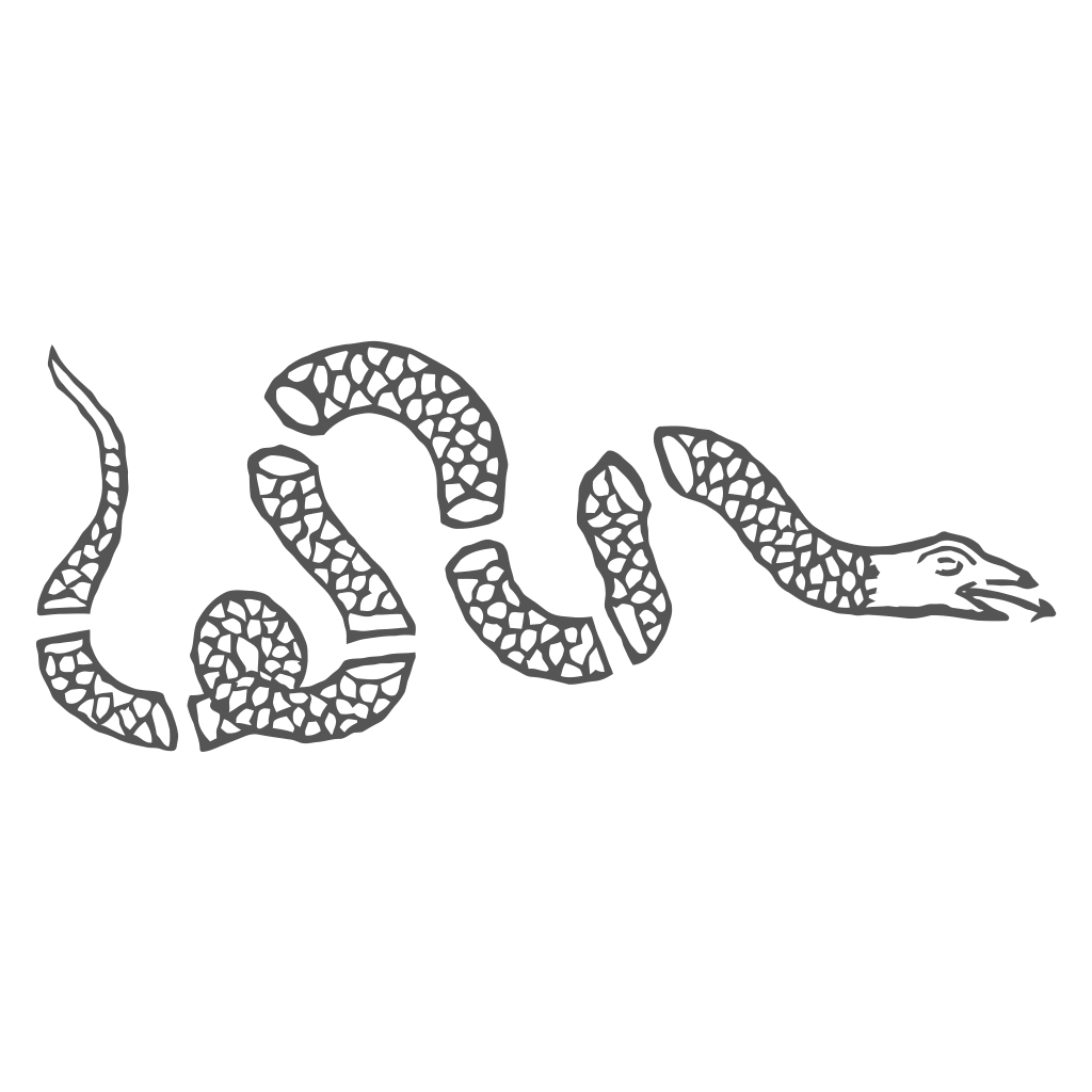 Buy wholesale Snake Stickers, Snake Buddies