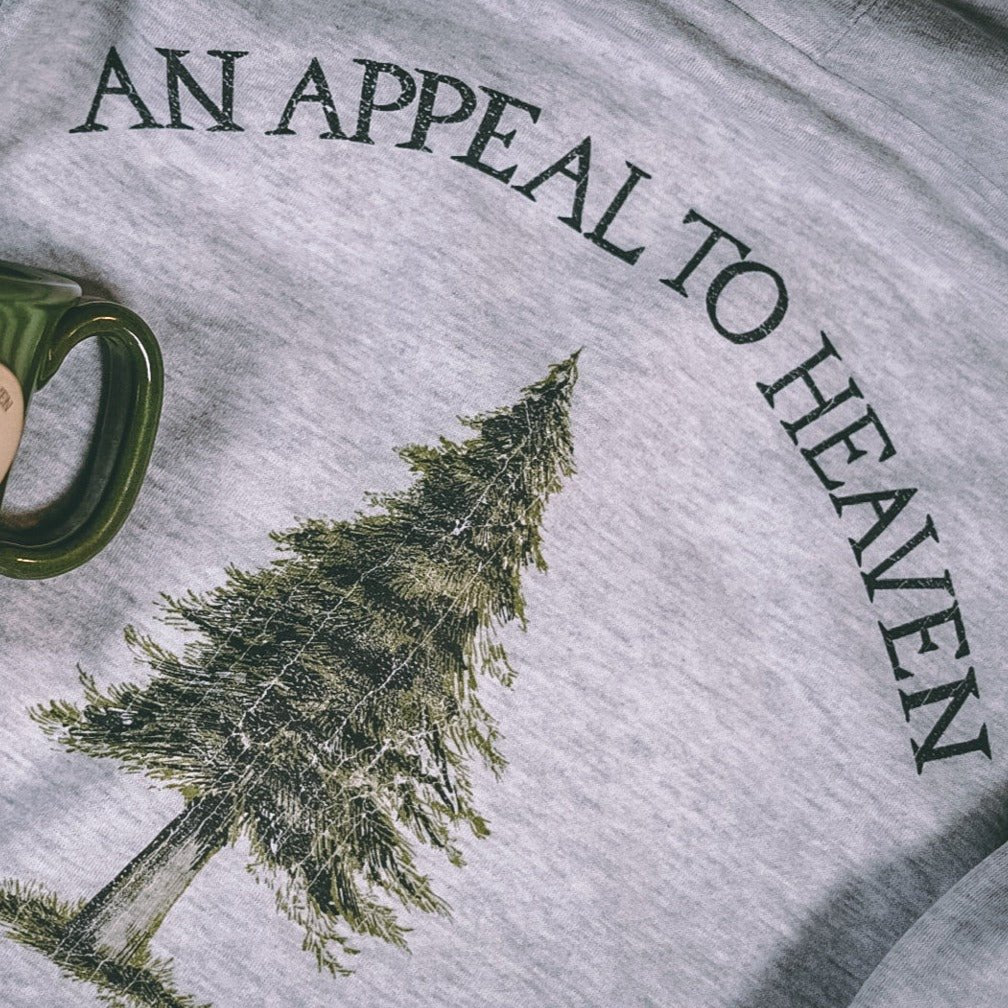 Appeal To Heaven Hoodie - 1776 United