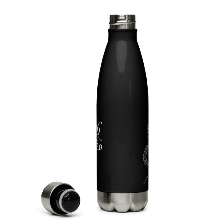 Join or Die Stainless steel water bottle - 1776 United